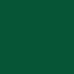 ColorWorks Solid Pine Green